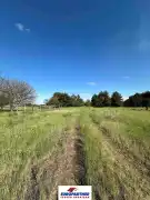 Pest megye - Cegléd