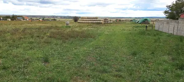 Eladó Szántó, Csákvár 5732 m² 15 M Ft