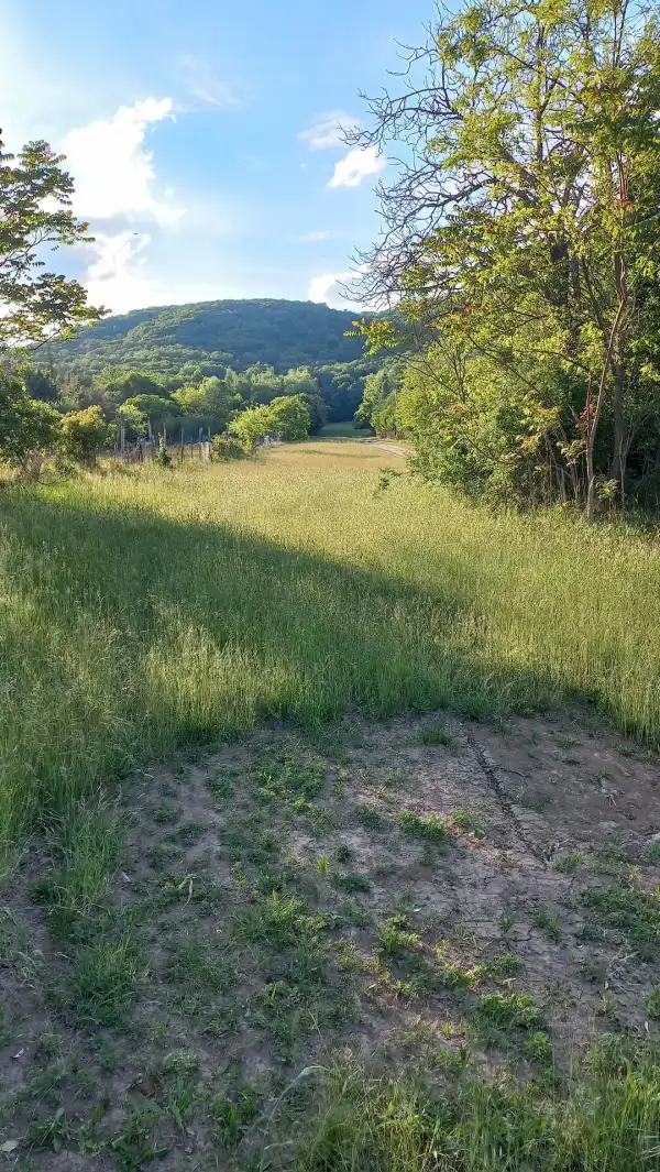 Eladó Szántó, Csákvár 4487 m² 11.5 M Ft