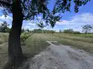 Pest megye - Dabas