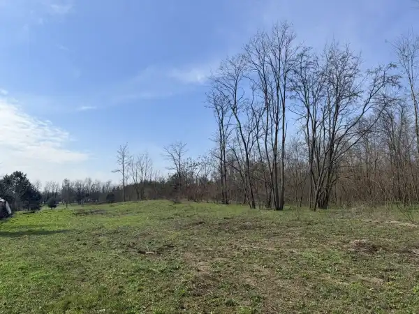 Eladó Szántó, Gödöllő 4307 m² 25.3 M Ft