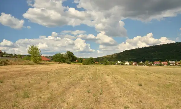 Eladó Szántó, Kismaros 9059 m² 89 M Ft