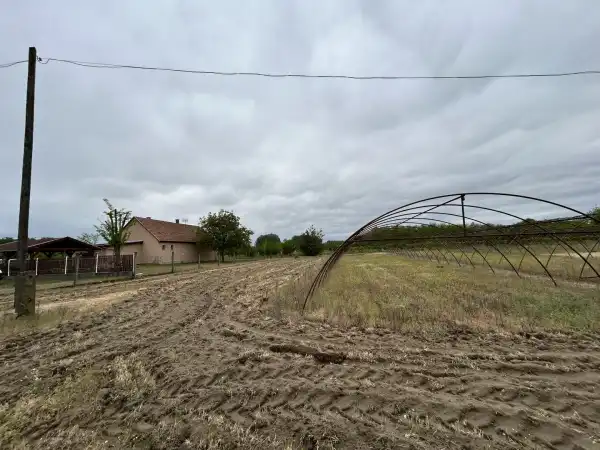 Eladó Szántó, Lajosmizse 5500 m² 17 M Ft