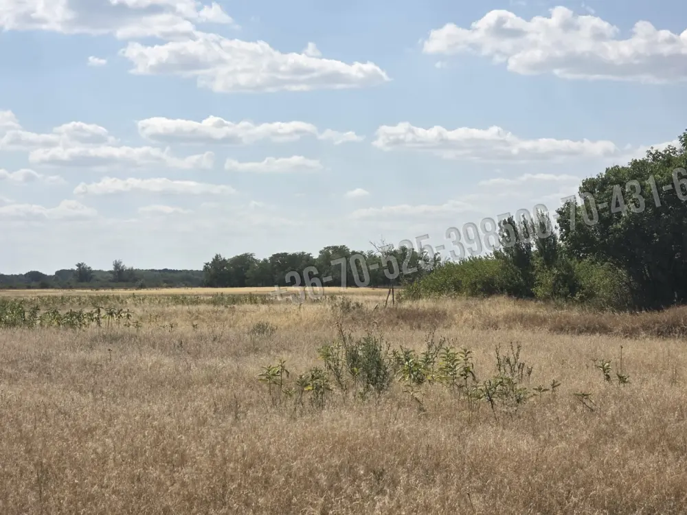 Pest megye - Mikebuda