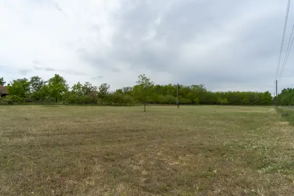 Eladó Szántó, Nyársapát 7076 m² 6 M Ft