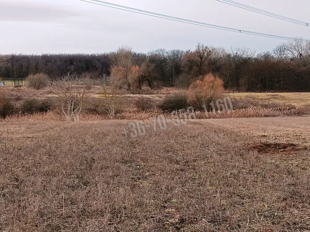 Pest megye - Őrbottyán