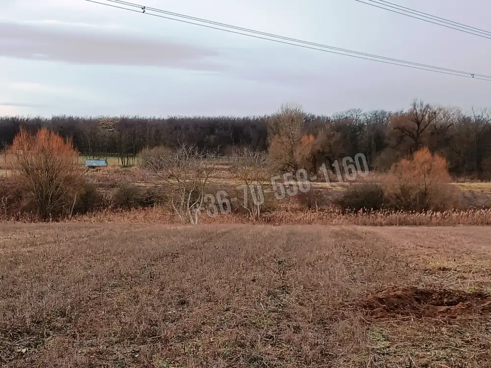 Pest megye - Őrbottyán