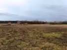 Pest megye - Őrbottyán