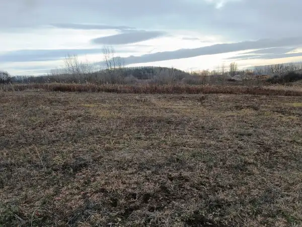 Eladó Szántó, Őrbottyán 10000 m² 20 M Ft