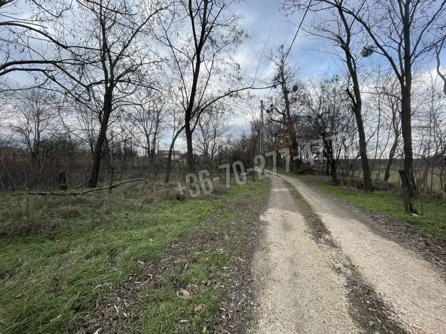eladó  Szántó, Oroszlány