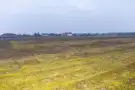 Nógrád megye - Pásztó