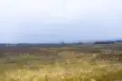 Nógrád megye - Pásztó