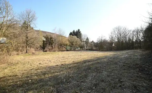 Eladó Szántó, Remeteszőlős 1519 m² 9.9 M Ft