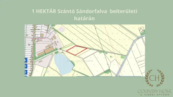 Eladó Szántó, Sándorfalva 10294 m² 10.9 M Ft