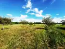Pest megye - Sződ