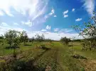 Pest megye - Sződ