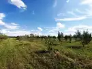 Pest megye - Sződ