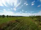Pest megye - Sződ