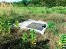 Pest megye - Sződ