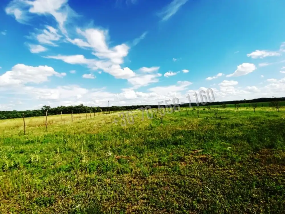 Pest megye - Sződ