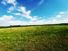 Pest megye - Sződ