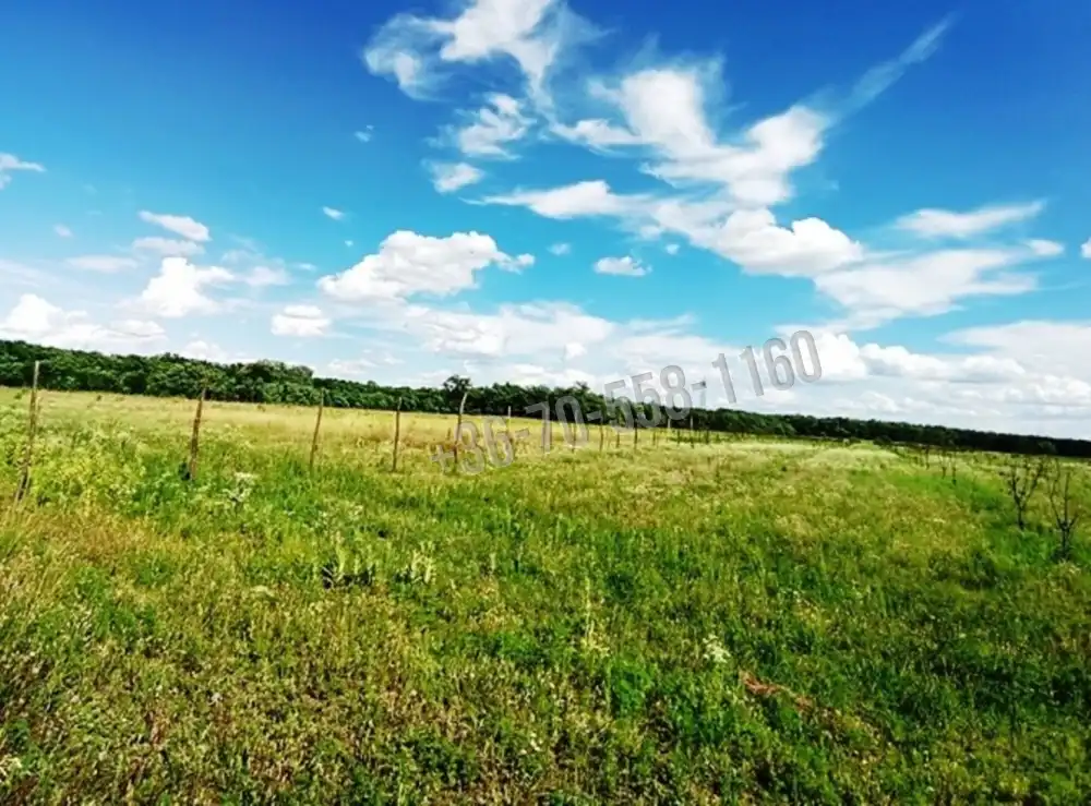Pest megye - Sződ