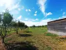 Pest megye - Sződ