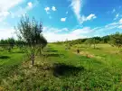Pest megye - Sződ