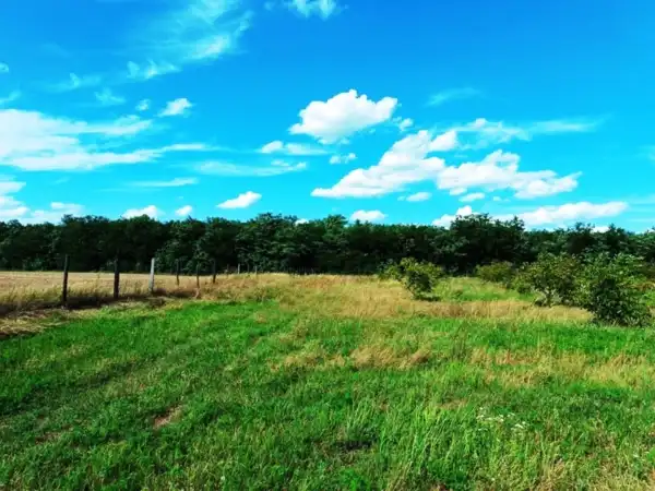 Eladó Szántó, Sződ 82000 m² 89 M Ft