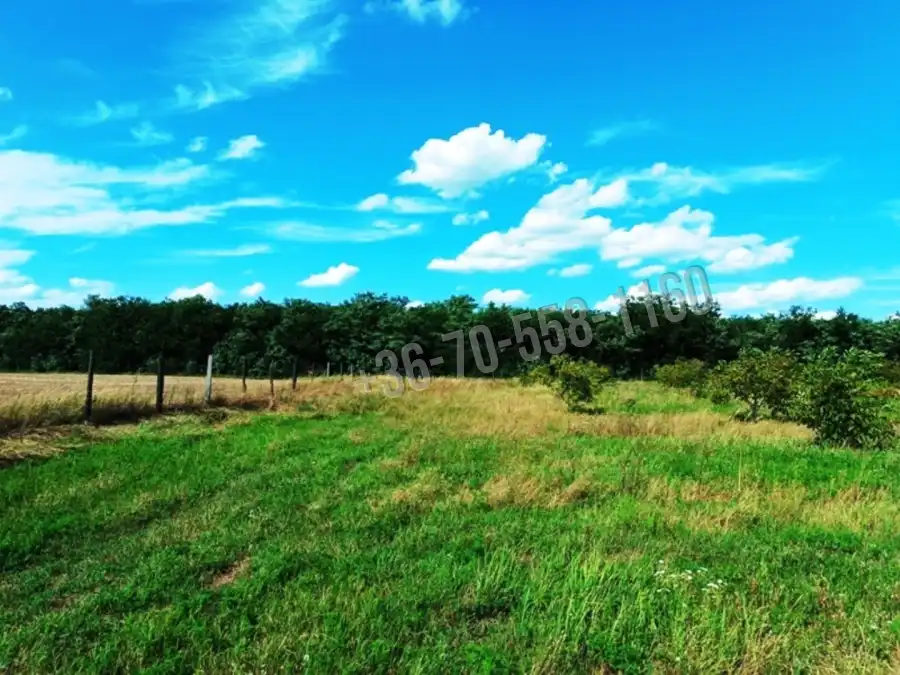 eladó  Szántó, Sződ