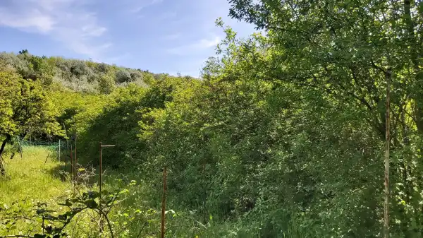 Eladó Szántó, Vác 1085 m² 6 M Ft