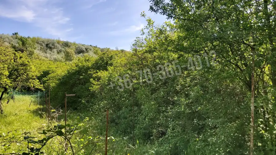 eladó  Szántó, Vác
