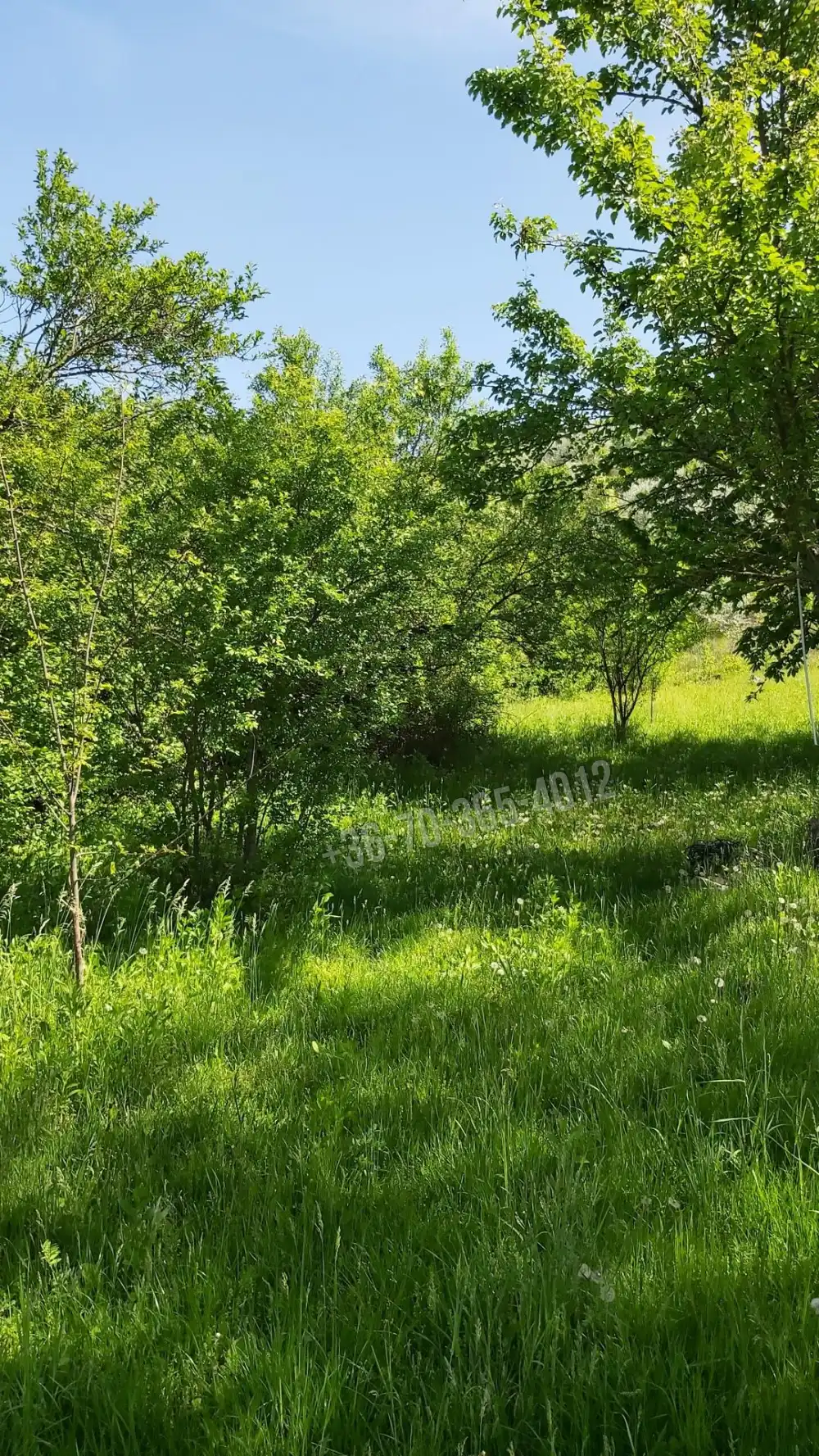 Pest megye - Vác