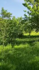 Pest megye - Vác