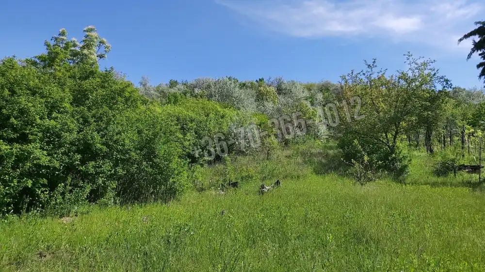 Pest megye - Vác