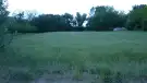 Csongrád megye - Zsombó