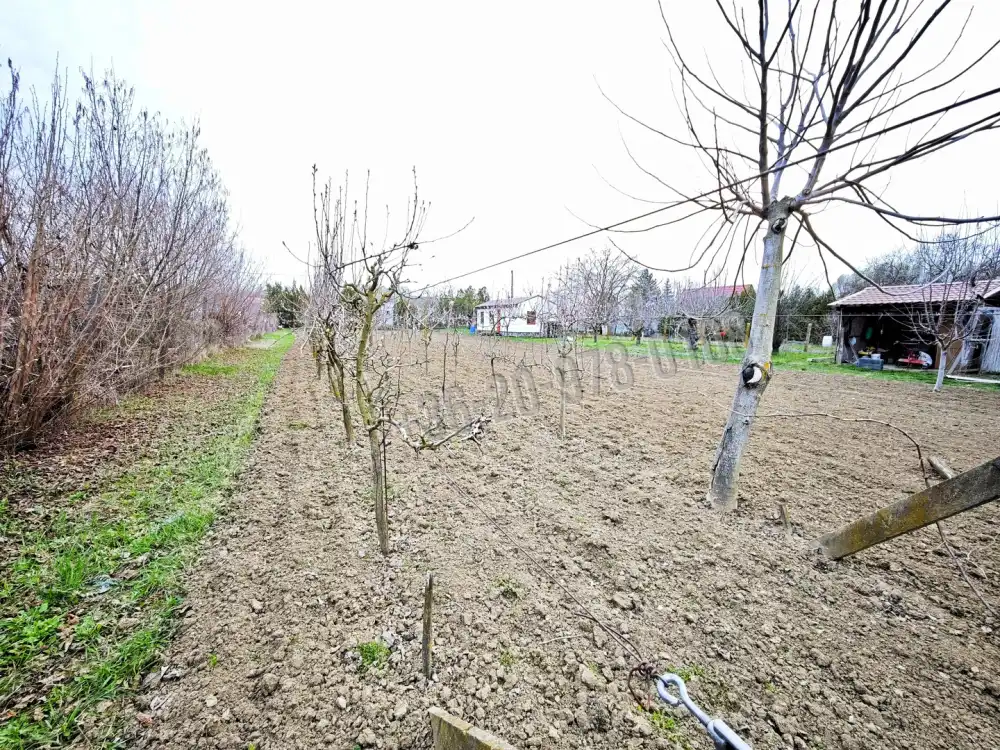 Csongrád megye - Szeged