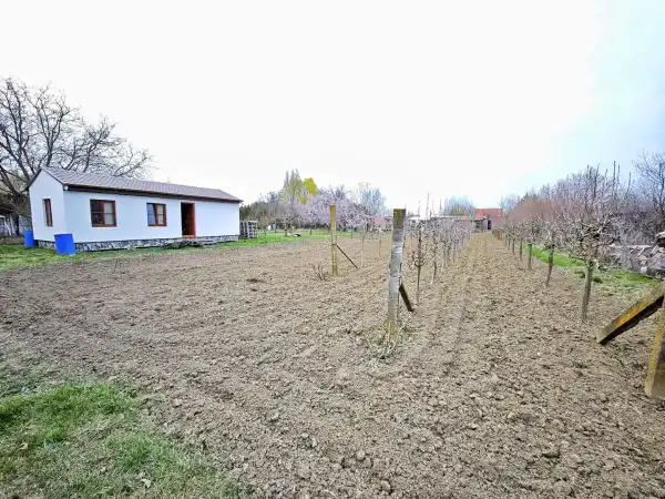 Eladó , Szeged 1785 m² 25 M Ft