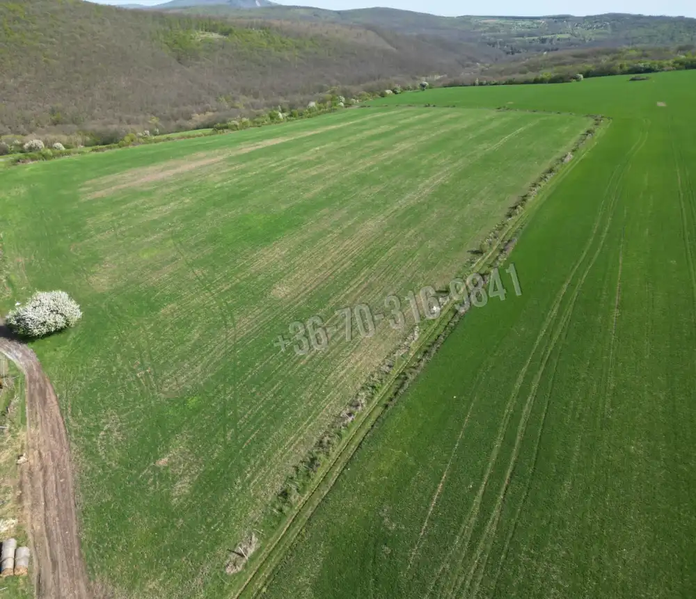 Pest megye - Szokolya