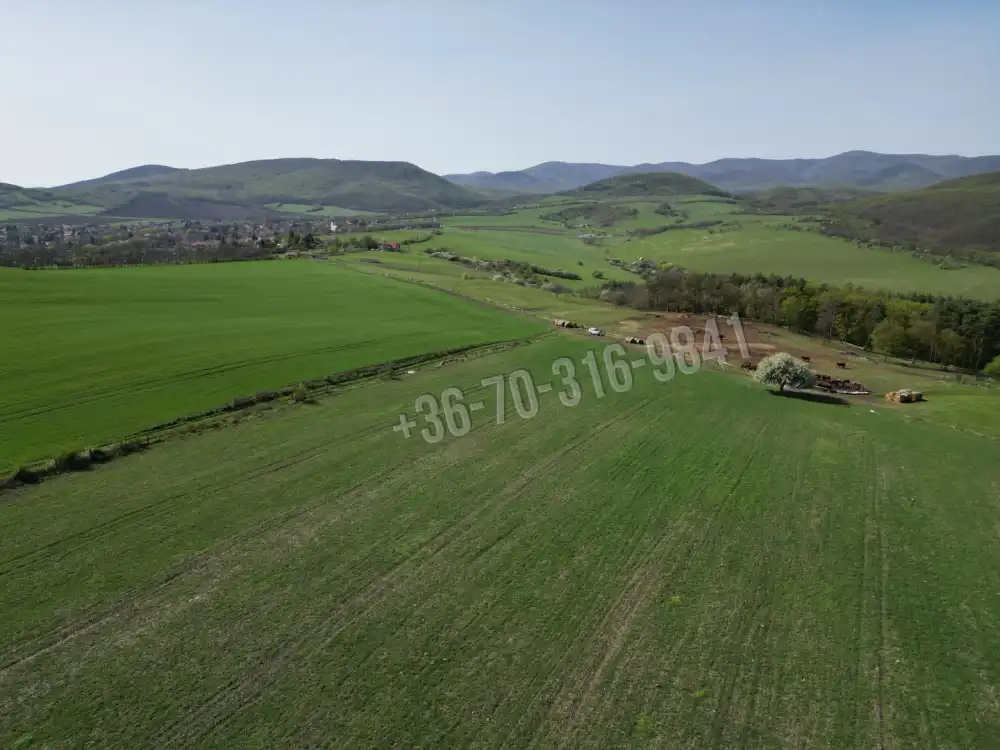 Pest megye - Szokolya