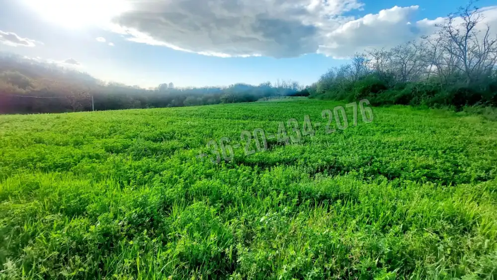 Somogy megye - Balatonendréd