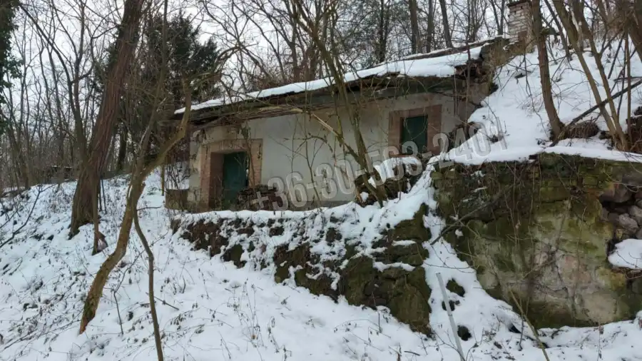 eladó  Szőlős, Esztergom