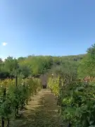 Zala megye - Hahót