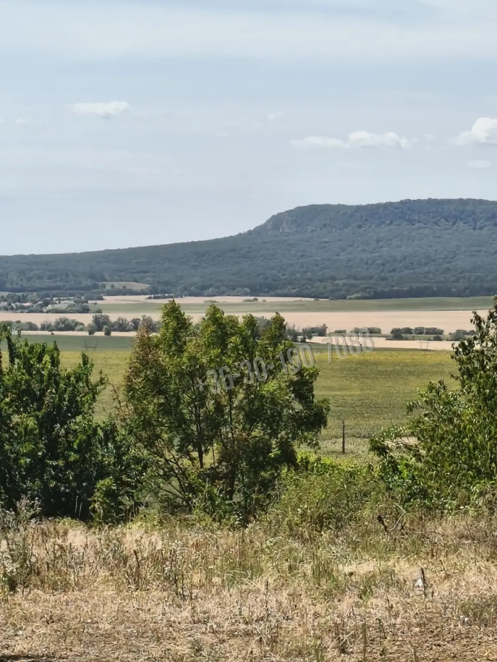 Komárom-Esztergom megye - Héreg