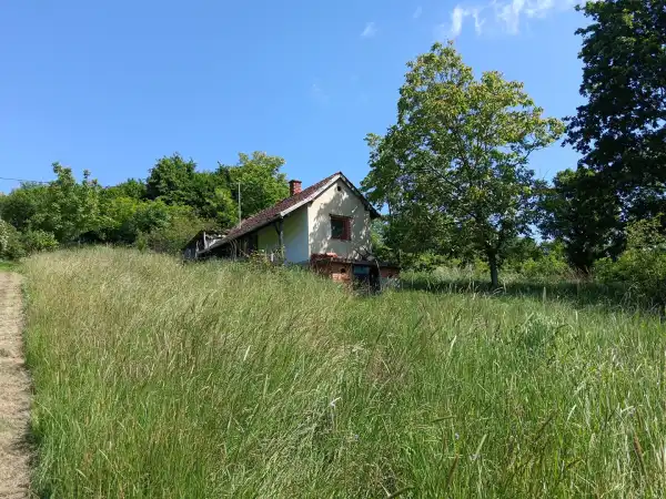 Eladó Szőlős, Kerkateskánd 1978 m² 2.5 M Ft