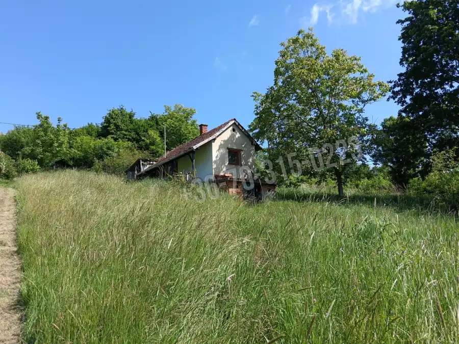 eladó  Szőlős, Kerkateskánd