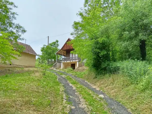 Eladó Szőlős, Lenti 1351 m² 2.5 M Ft