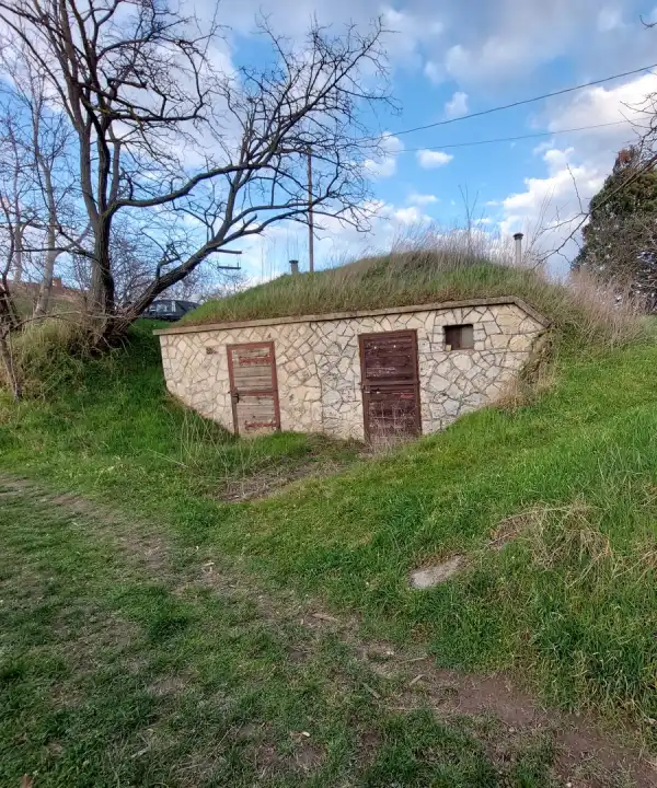 Eladó Szőlős, Ménfőcsanak 2082 m² 16 M Ft