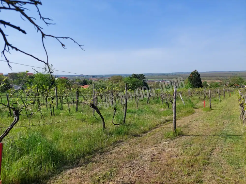 Győr-Moson-Sopron megye - Ménfőcsanak