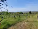 Győr-Moson-Sopron megye - Ménfőcsanak